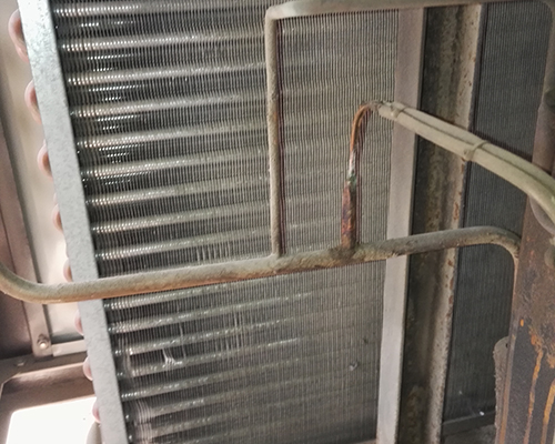 组合式冷冻干燥机维修